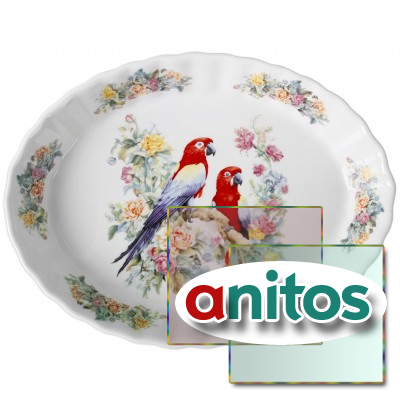 P035128 Parrots ����� ��������