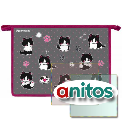     BRAUBERG 4, 2 , , Cat patches, 272211