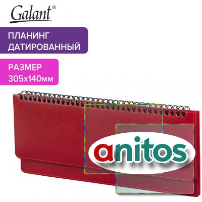   2025 305140  GALANT 