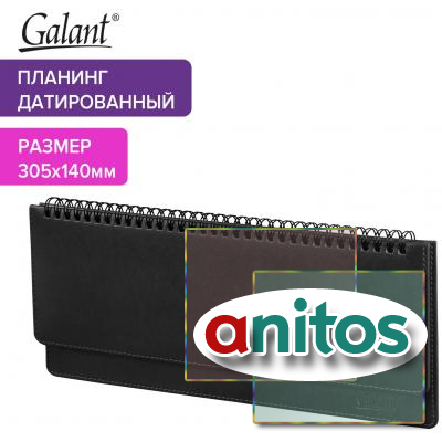  2025 305x140  GALANT 