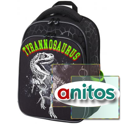  BRAUBERG QUADRO, 3 ,  , Tyrannosaur, , 372818 , 272021