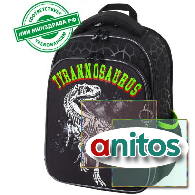  BRAUBERG QUADRO, 3 ,  , 