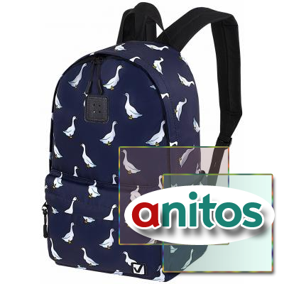  BRAUBERG POSITIVE , -, 