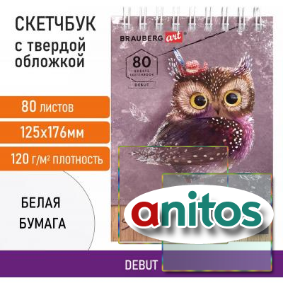 ��������, ����� ������ 120 �/�2 125�176 ��, 80 �., �������, ������� �������, BRAUBERG ART DEBUT, 112988