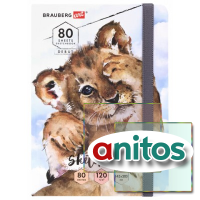 ��������, ����� ������ 120 �/�2, 145�203 ��, 80 �., �������, �������, BRAUBERG ART DEBUT 