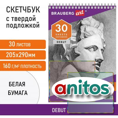 ��������, ����� ������ 160 �/�2, 205�290 ��, 30 �., �������, ������ ��������, BRAUBERG ART 