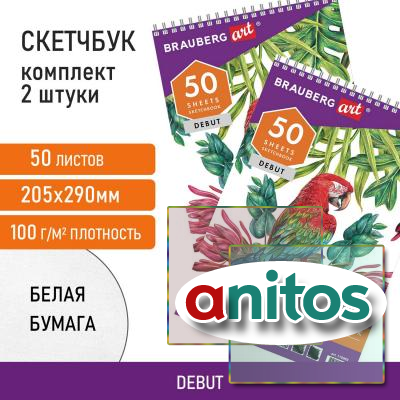 -     100 /2, 205290 , 50 .,  2 ., BRAUBERG, 880274