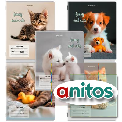  12 . BRAUBERG  ,  , CATS AND DOGS, 107288