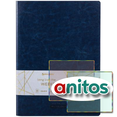  60 .     , , B5 (179250), -, BRAUBERG VIVA, 403897