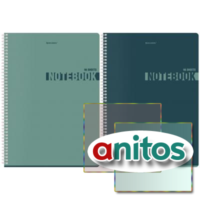  4, 96 ., BRAUBERG, , ,  , NoteColor, (  ), 405316