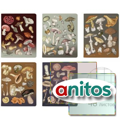 ������� �5, 48 �,. BRUNO VISCONTI, �����, ������, Soft-Touch, ������, 