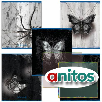 ������� �5 48 �. ����, �����, ������, ������� ���������, ���������� ���, 