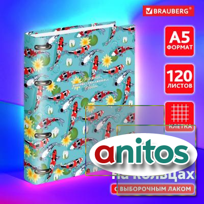    5 160212 , 120 , ,  , , BRAUBERG, 