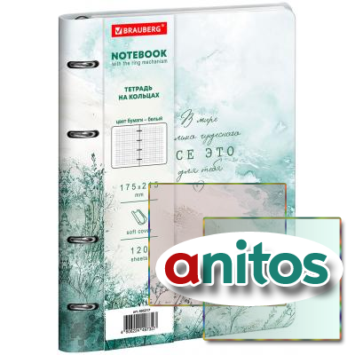 ������� �� ������� �5, 175�215 ��, 120 �., ��� ����, BRAUBERG VISTA, 