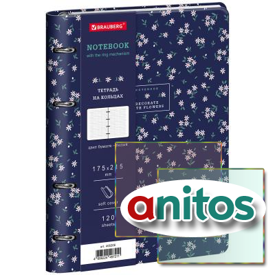 ������� �� ������� �5, 175�215 ��, 120 �., ��� ����, BRAUBERG VISTA, 