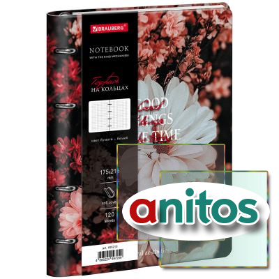 ������� �� ������� �5, 175�215 ��, 120 �., ��� ����, BRAUBERG VISTA, 