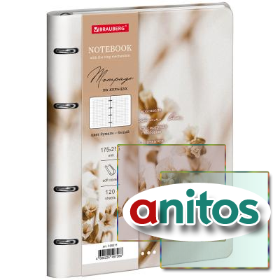 ������� �� ������� �5, 175�215 ��, 120 �., ��� ����, BRAUBERG VISTA, 