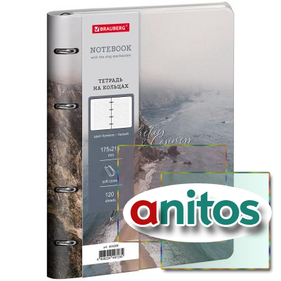 ������� �� ������� �5, 175�215 ��, 120 �., ��� ����, BRAUBERG VISTA, 