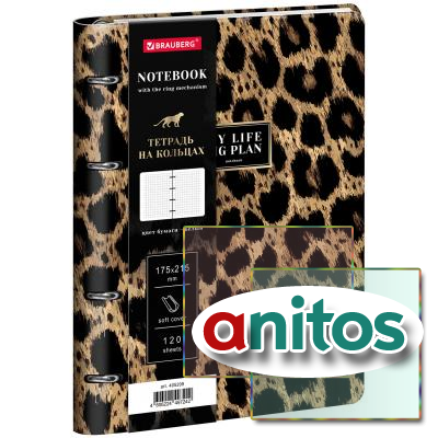 ������� �� ������� �5, 175�215 ��, 120 �., ��� ����, BRAUBERG VISTA, 