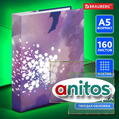    5 175215 , 160 .,  , , BRAUBERG, 