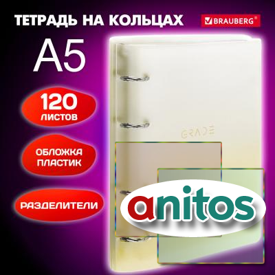    5 175220, 120, ,  , BRAUBERG, , 404628