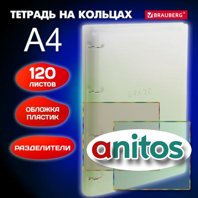     305230 4, 120, ,  , BRAUBERG, , 404625