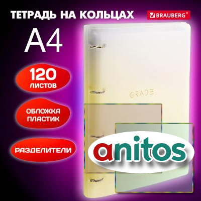     305230 4, 120, ,  , BRAUBERG, , 404624