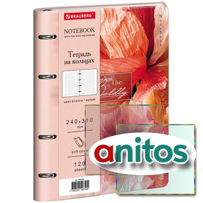 ������� �� ������� ������� �4, 240�310 ��, 120 �., ��� ����, BRAUBERG VISTA, 