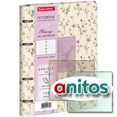 ������� �� ������� ������� �4, 240�310 ��, 120 �., ��� ����, BRAUBERG VISTA, 