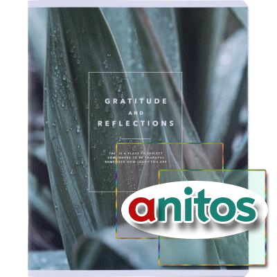 , BS, 5, 48., , . Botanica,  N4167