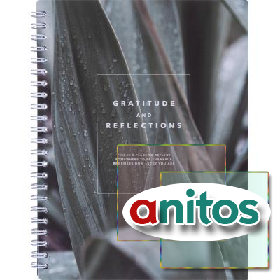  , BS, 5, 80., , . Botanica,  N4185