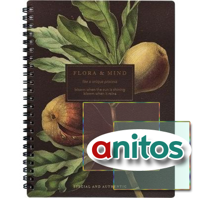  , BS, 5, 80., , . Flora,  N4184