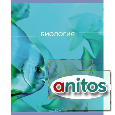 ������� ���������� 48� �5 ������, �1 School -��� ������- ��������