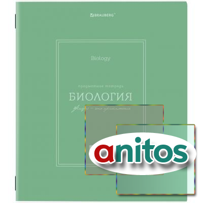   CLASSIC 48 .,  ,  , , , , BRAUBERG, 405138