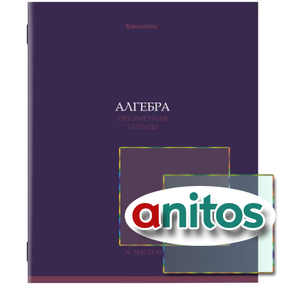    36,   , , , BRAUBERG, 405069