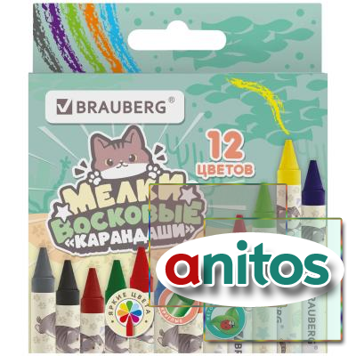  BRAUBERG  ,  12 , 273229