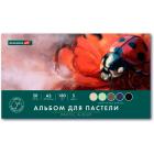 ������ ��� ������� ������� �3, 20 ������ 5 ������, 180��/�2, �������, BRAUBERG ART CLASSIC, 116344