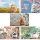    4, 24 ., ,  , , HATBER, 205290 , , 091475, 244