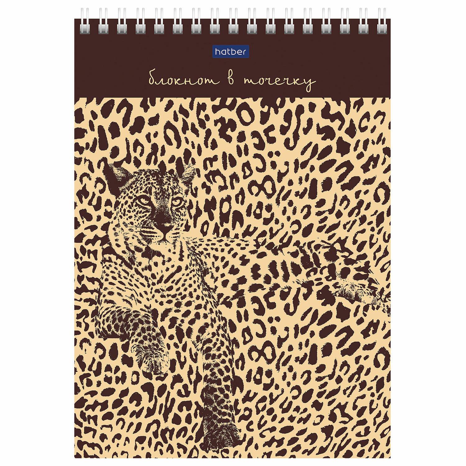  5 (144208), 60, ,  ,  , HATBER Premium, , 605A9