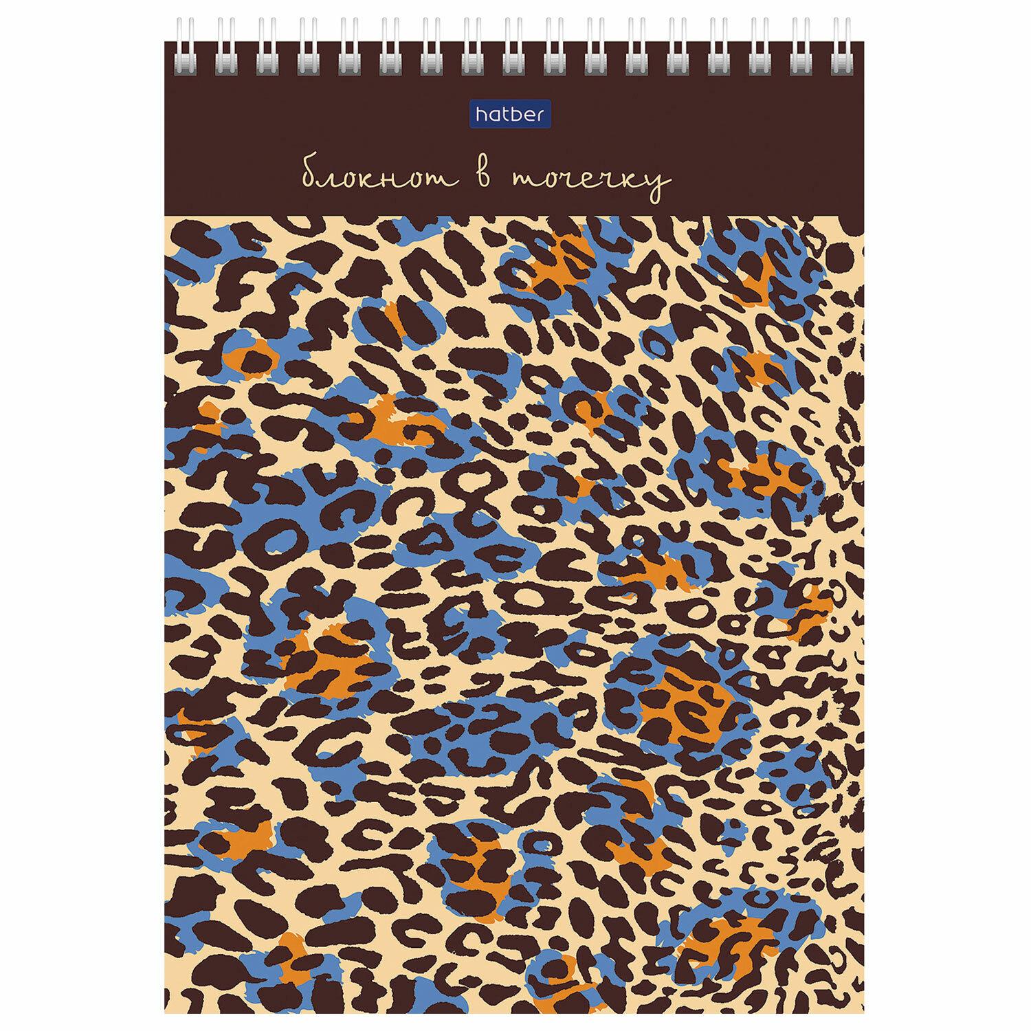  5 (144208), 60, ,  ,  , HATBER Premium, , 605A9