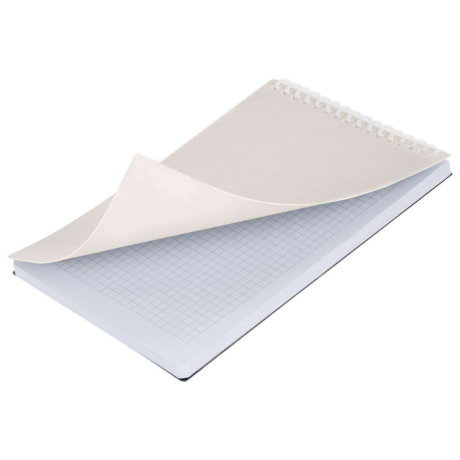  5, 80 .,  ,  , , BRAUBERG, , 117559