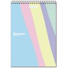    4 198297, 80, , , , , BRAUBERG PASTEL, 117032