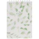    6 80 .,  , , , , HATBER, NATURAL LEAVES, 090242, 806A1_33480