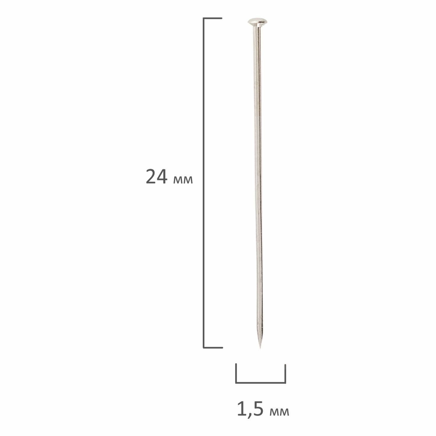   BRAUBERG, 24 , 500 .,   , 220562