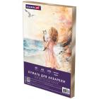    4 60 ., 270 /2,  ,  , BRAUBERG ART, 