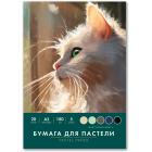 ������ ��� ������� ������� �3 � �����, 20 ������ 5 ������, 180 ��/�2, BRAUBERG ART CLASSIC, 116346