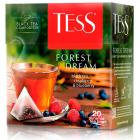  TESS FOREST DREAM   20