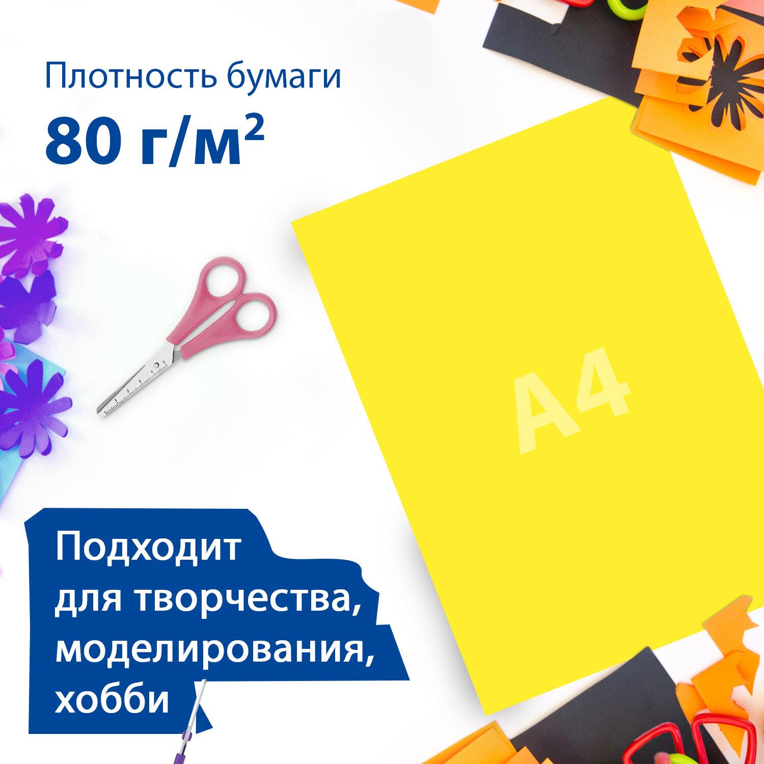   4 (200280 ) 2-  (), 10  20 ,  , BRAUBERG, 200280 , , 129923