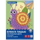    17 /2, 4 (210297 ), 20 , 10  ,  , BRAUBERG, 116497