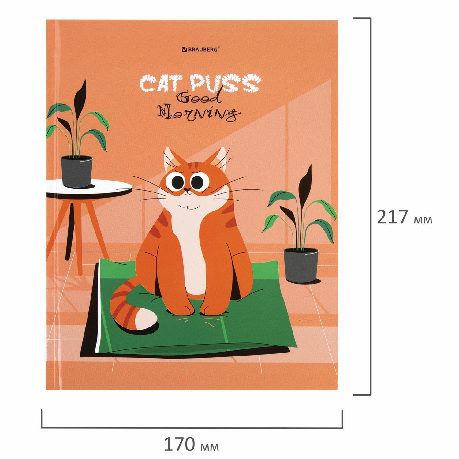  1-11  40 ., , BRAUBERG,  , Cute cat, 106852